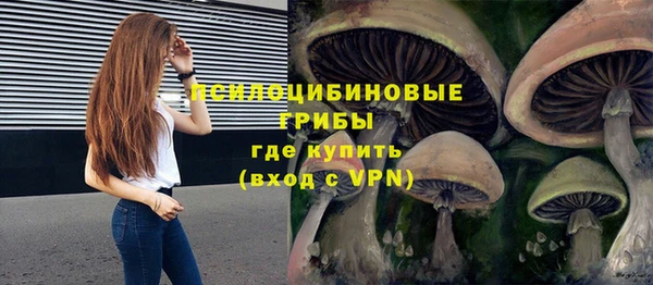 гидра Абдулино
