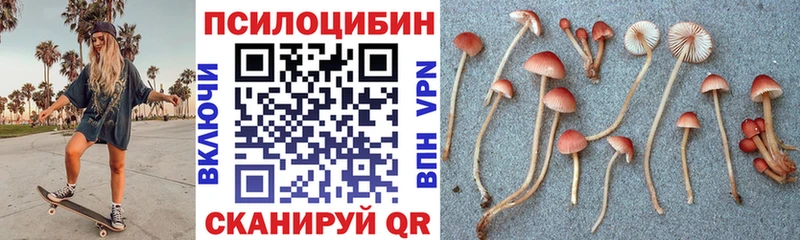 blacksprut зеркало  Новоуральск  Галлюциногенные грибы мухоморы 