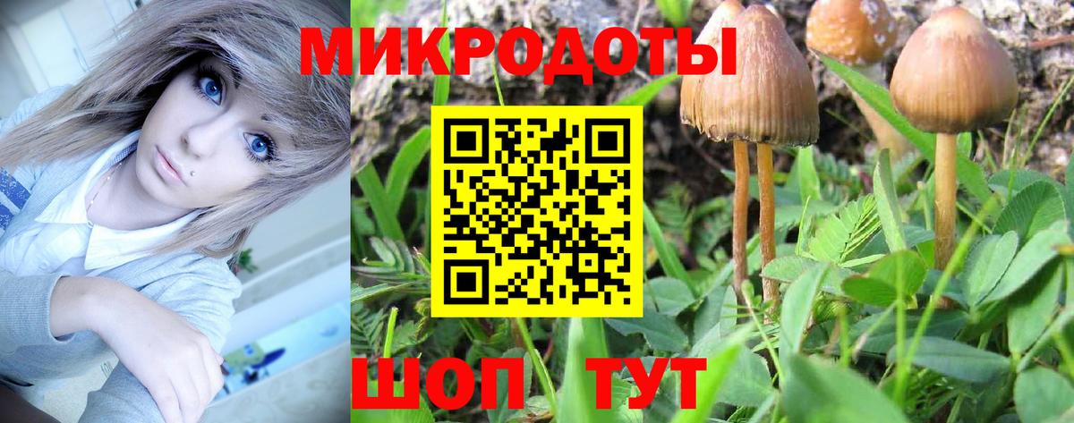 Новоуральск  Галлюциногенные грибы GOLDEN TEACHER  Вход с VPN  Галлюциногенные грибы ЛСД 
